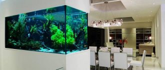 Aquarium as a partition