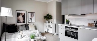 Studio apartment design 24 sq m