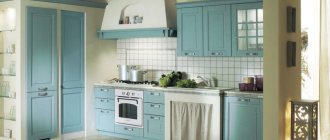 Photos of kitchen cabinets with paneled fronts