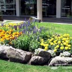 Flowerbed compositions using stones are practical and durable, universally fit into any style of garden or summer cottage