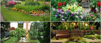 flower beds and flower beds