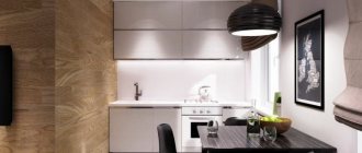 Kitchen in a modern style in an apartment