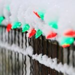 Light bulbs on the fence