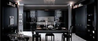 Modern dark kitchen interior