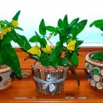 How to decorate flower pots