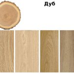 Properties of oak wood