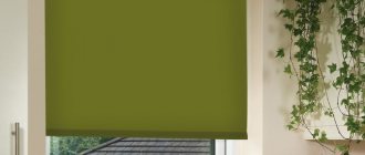 Green fabric roller blinds