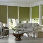 Green roller blinds on the living room windows